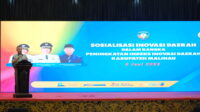 Sosialisasi Inovasi Daerah