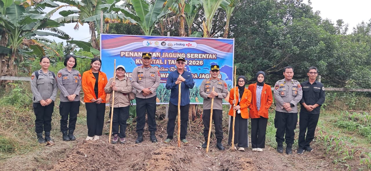 Tanam Raya Jagung Serentak